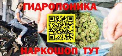 прущая мука Тверь