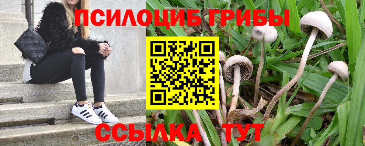 Новоалтайск  Галлюциногенные грибы ЛСД  Вход с VPN 