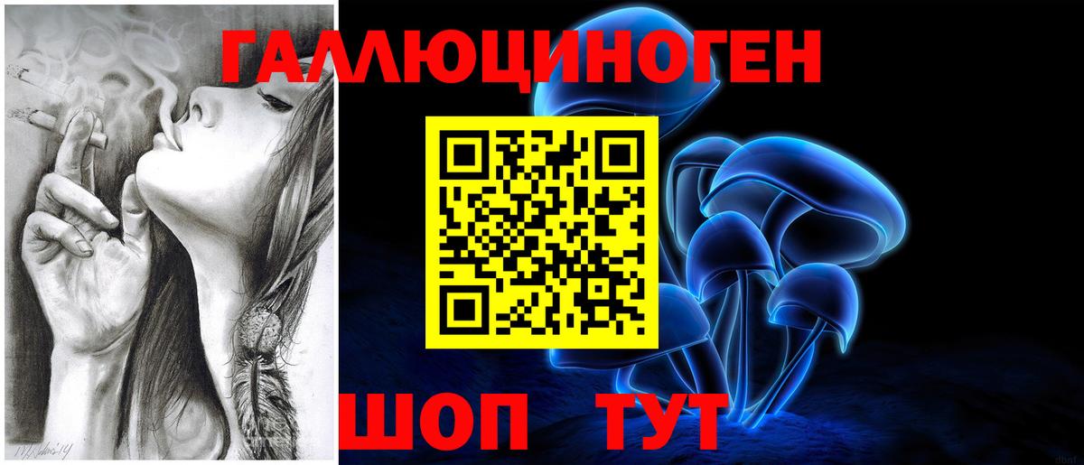 Галлюциногенные грибы GOLDEN TEACHER Новоалтайск
